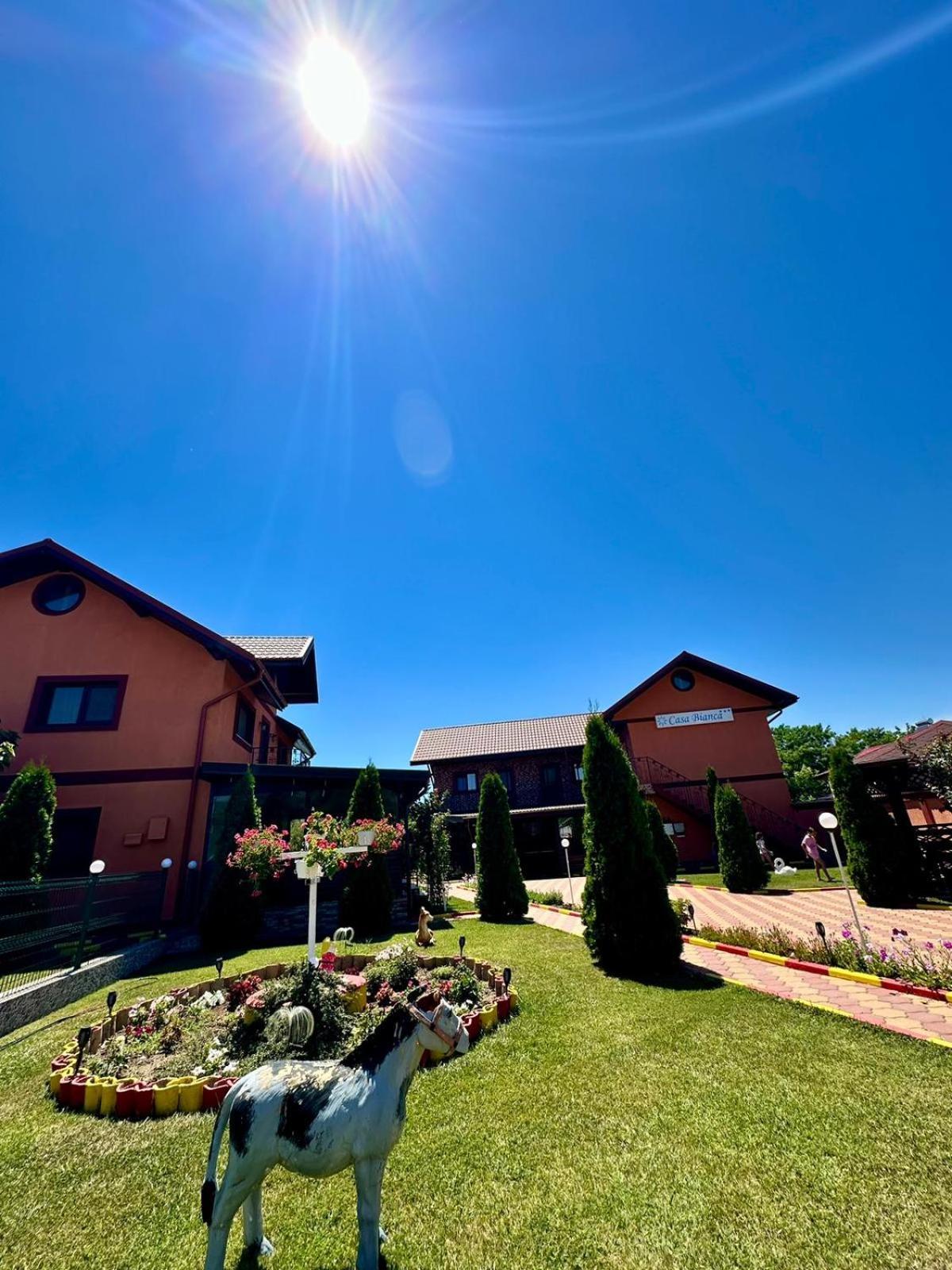Pensiunea Bianca Hotel Corbu  Exterior foto