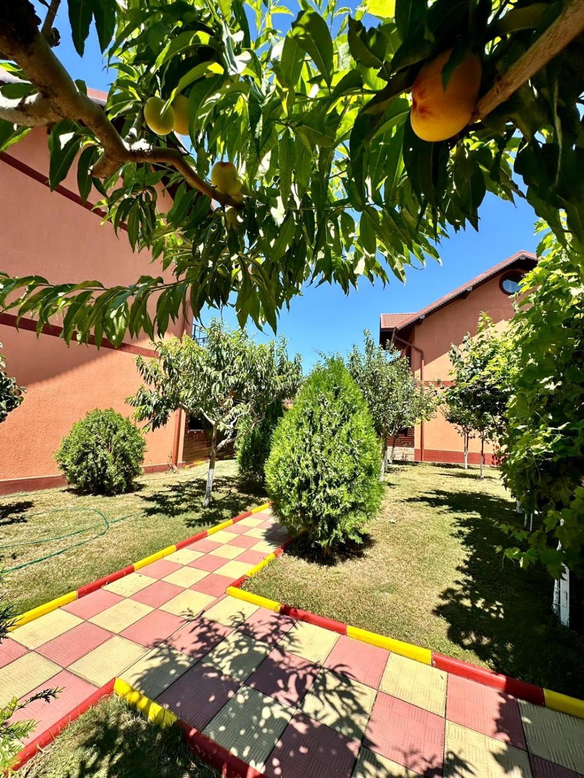 Pensiunea Bianca Hotel Corbu  Exterior foto